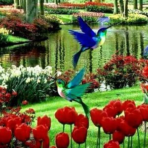 Meet your Posher, Doris